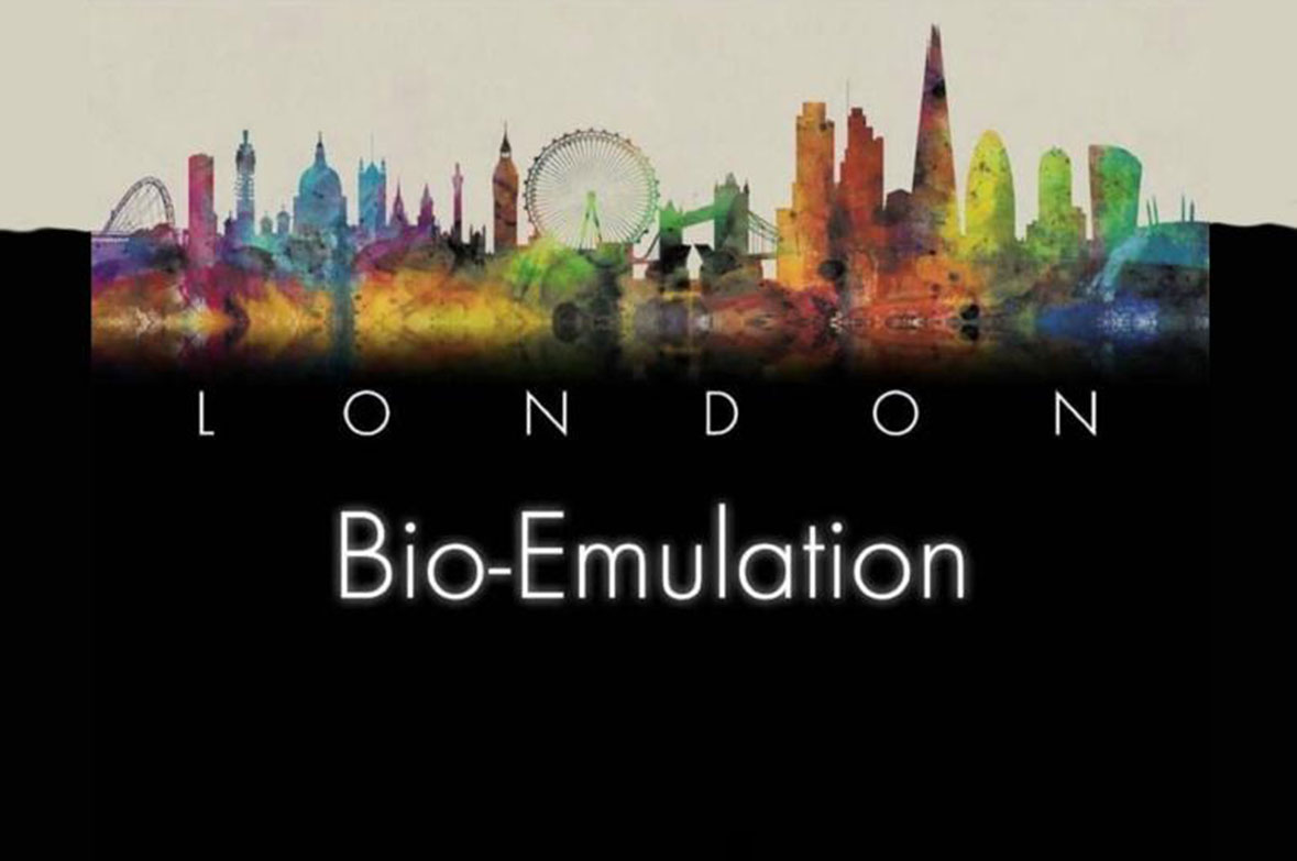 Bio-Emulation Symposium 2024